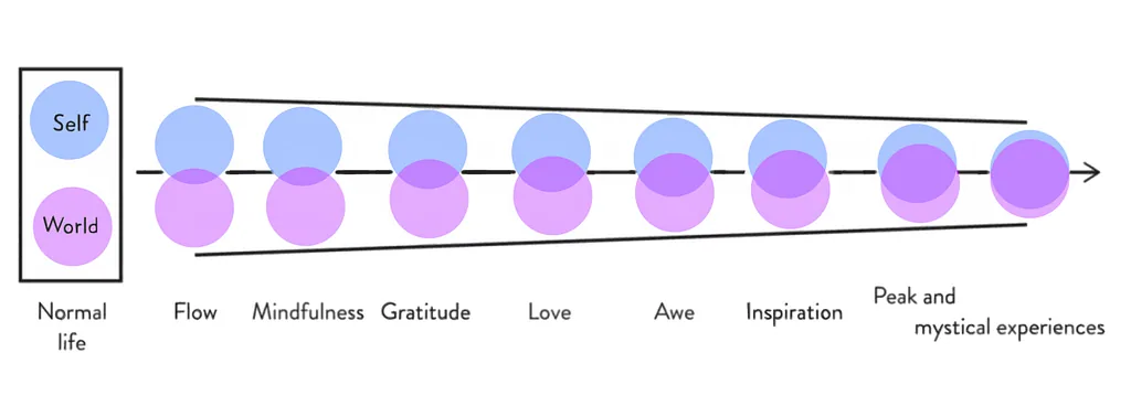 The Unitary Continuum.